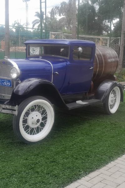 WhatsApp Image 2025-11-04 at 22.56.04 (1)